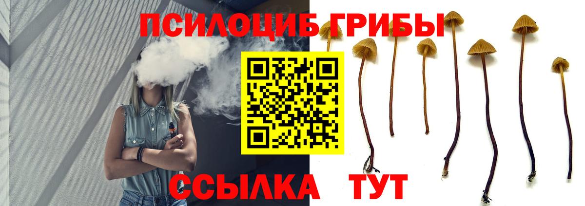 Галлюциногенные грибы MAGIC MUSHROOMS  Псилоцибиновые грибы ЛСД  Назарово  Вход с VPN 